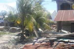 bezoek%20pelita%20tsunami%20palmboom%202