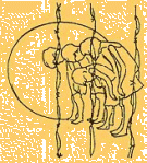 kjbb-logo-04