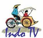 iindotvlogo