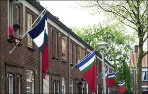 vlag_474853b