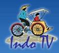 indotvlogo