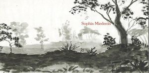 6a013484da3a19970c0133f27ee30f970b-300wi