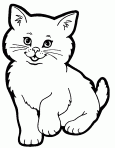 poes