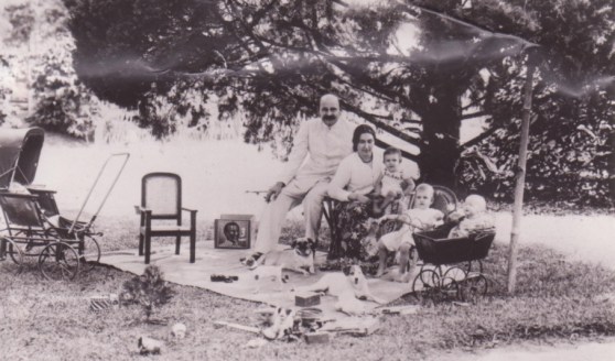 willemsemendesdacosta