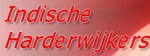 indischeharderwijkerslogo