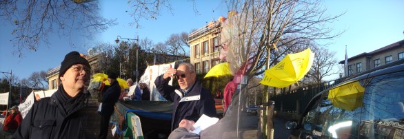 demonstratiedecember