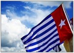 bendera_opm_101130103253
