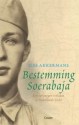 BestemmingSoerabaja-15303-209-300
