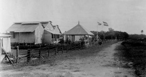 Kaja-Kaja in Merauke