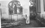 Gillon NA br Cherubinus Bogor-9