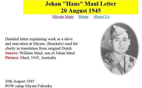 hansmaul