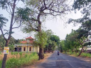dichtbijkediri_eric