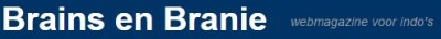 Brainbranielogo