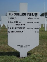 graf jeekel kembang kuning