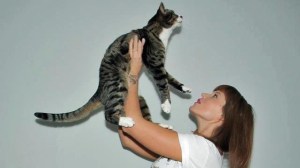 kattencafé