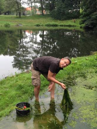 sawahbelanda2015_onderhoud