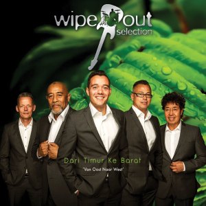 coverwipeout