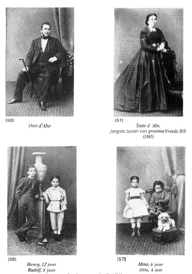 dabokulenkamplemmers1864