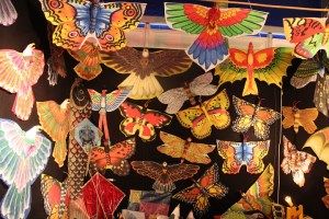 TTF2016vogels