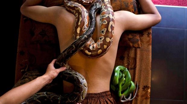 pythonmassage