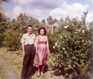 vincentjansen