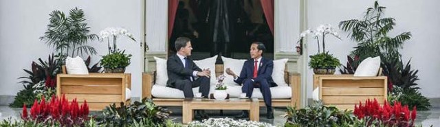 ruttewidodo23nov2016