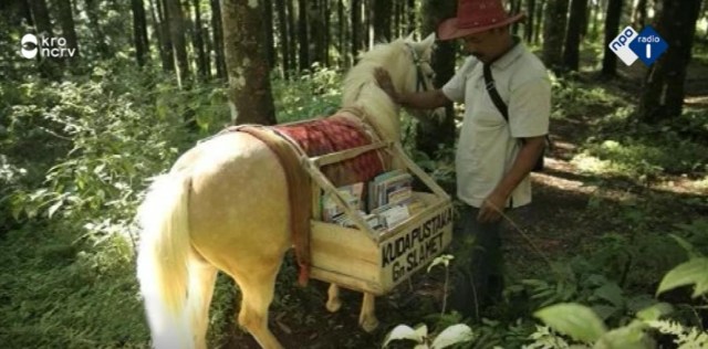paardenbibliotheek