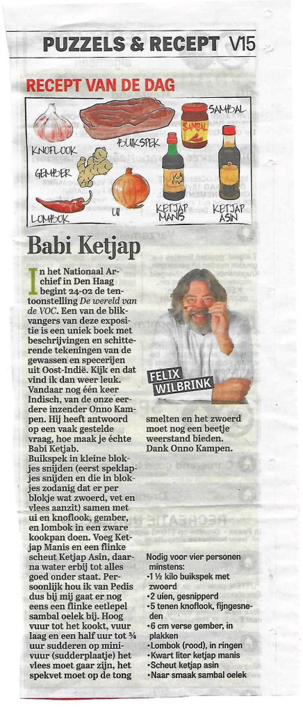 wijlbrink_babiiketjap