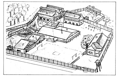 mannenkamp_bangkinang