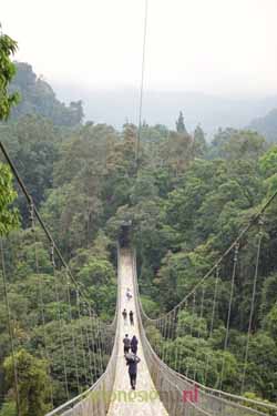 a1aaf-jembatan2bsitu2bgunung2bfoto2b12bteaser